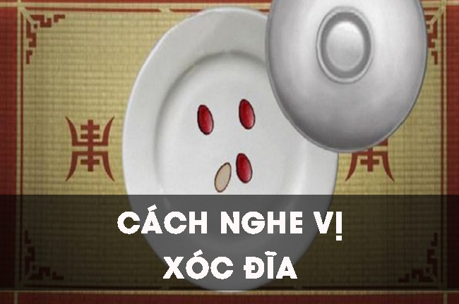 Bật mí cách nghe vị xóc đĩa siêu chuẩn